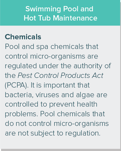 What examples of microorganisms are given in the article?